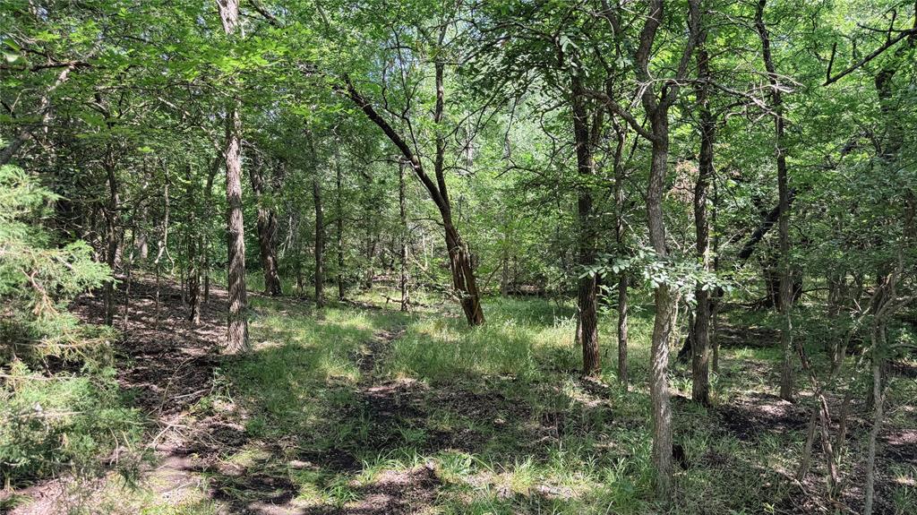 Mcgill 632 Add - Land