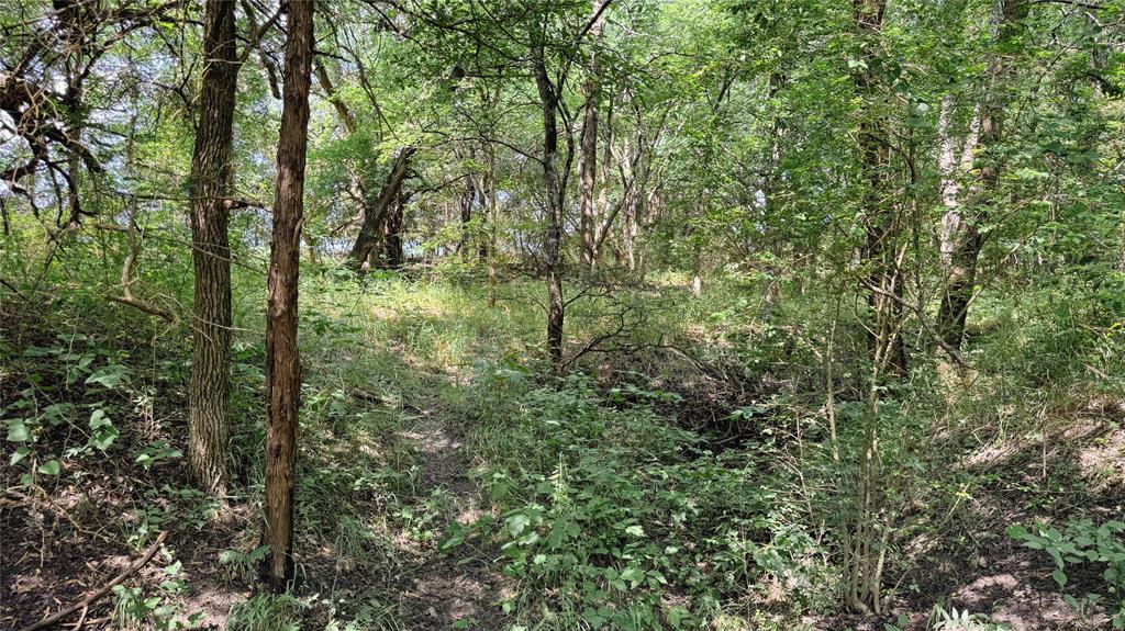 Mcgill 632 Add - Land