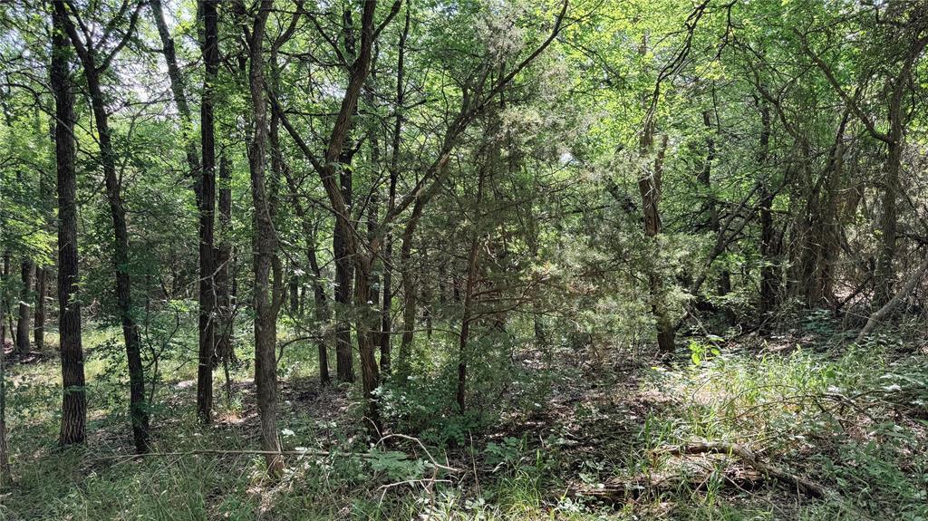 Mcgill 632 Add - Land