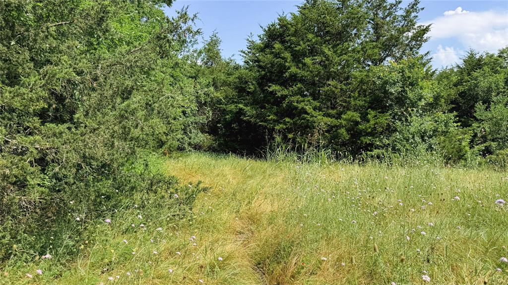 Mcgill 632 Add - Land