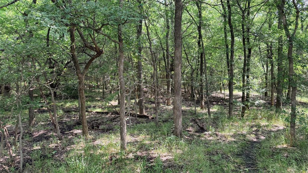 Mcgill 632 Add - Land