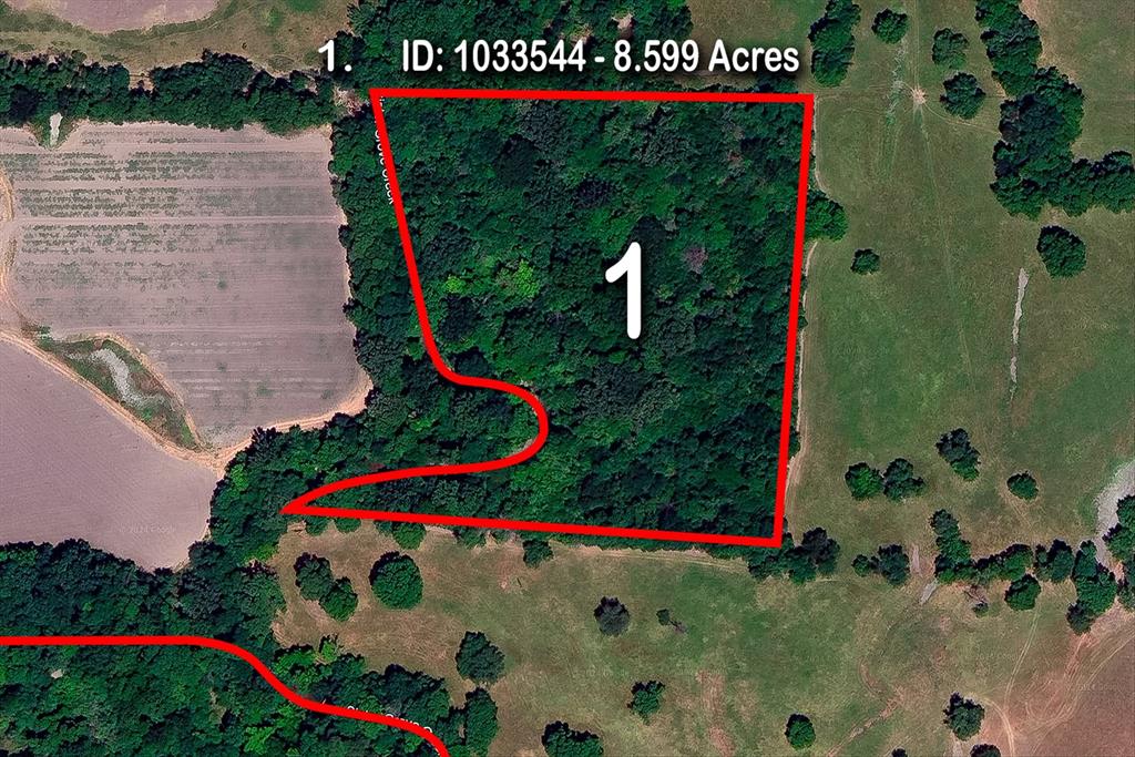 3034 County Road 463