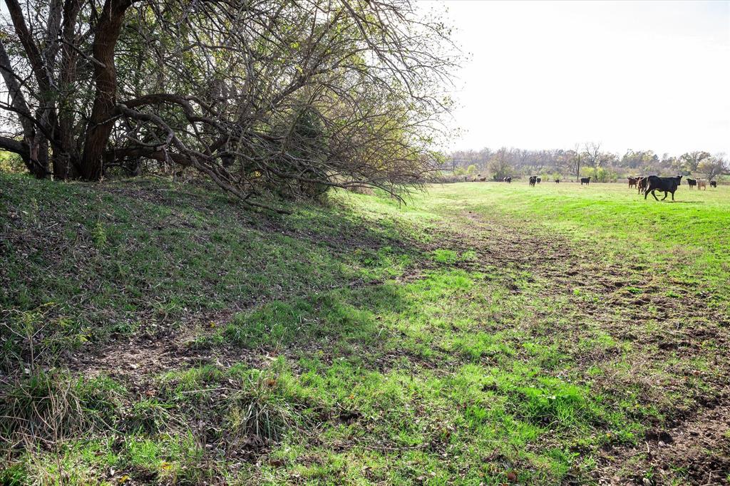 ABS A0743 JOHN RUSSELL SURVE - Land