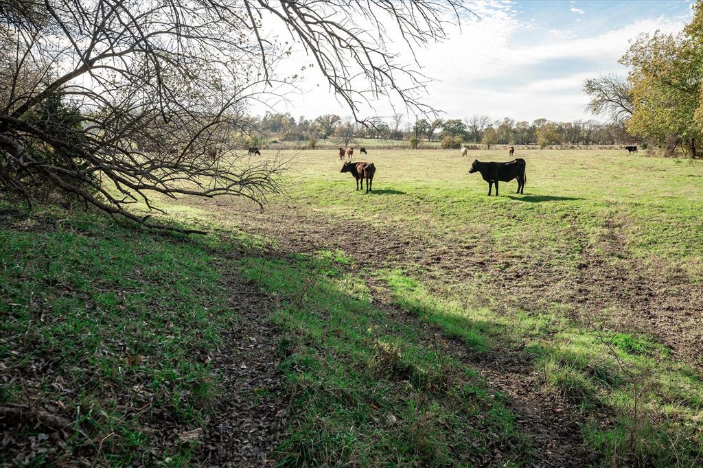 ABS A0743 JOHN RUSSELL SURVE - Land