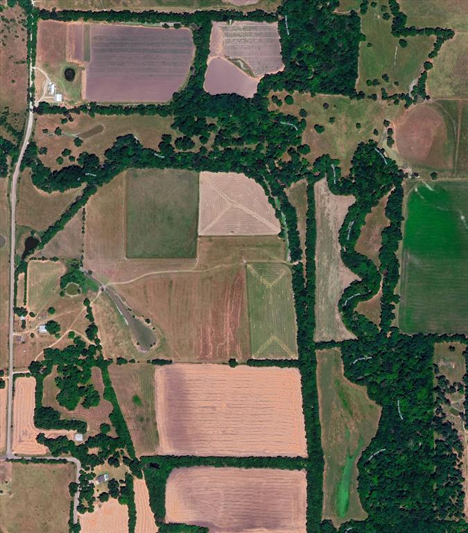 3034 County Road 463