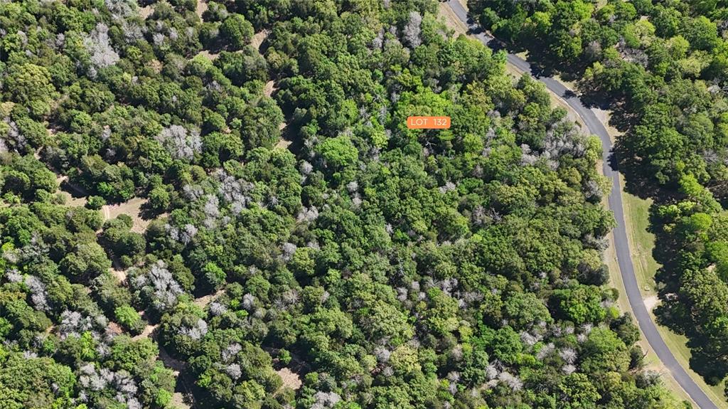 The Wilderness - Land