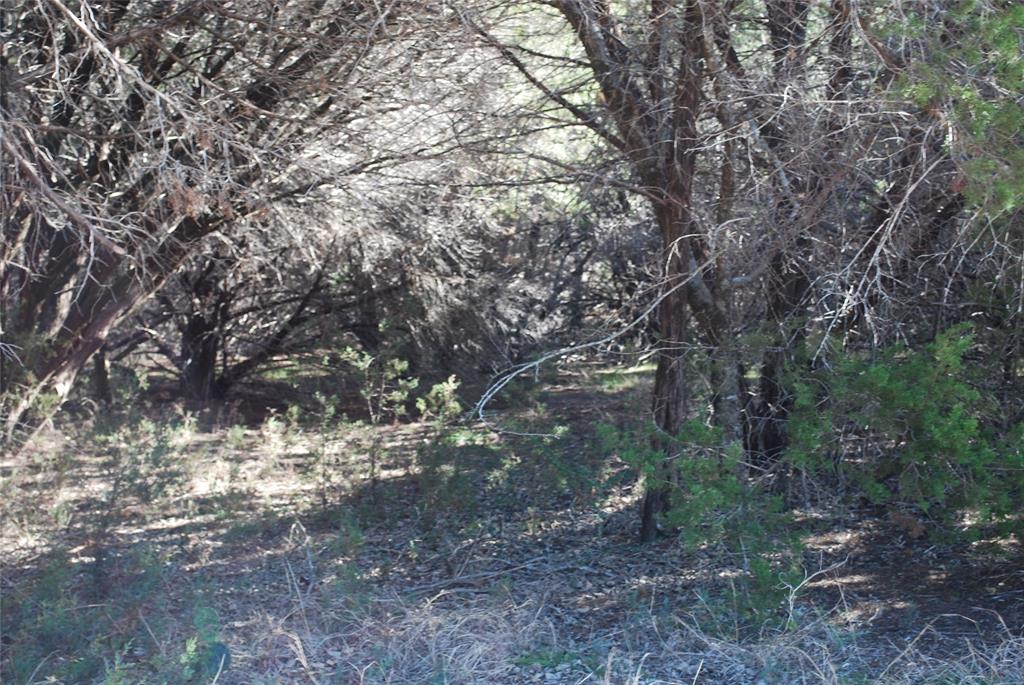 8182 Cedar Crest Drive