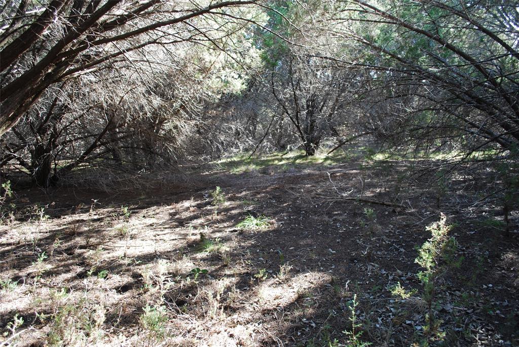 8182 Cedar Crest Drive