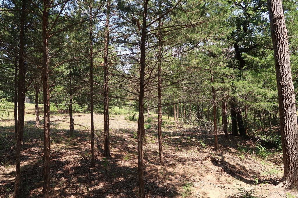 MCCARLEY ROBERT - Land