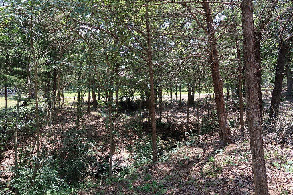 MCCARLEY ROBERT - Land