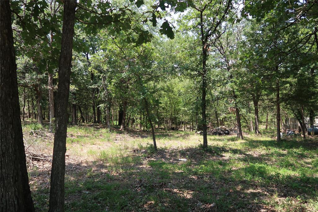 MCCARLEY ROBERT - Land