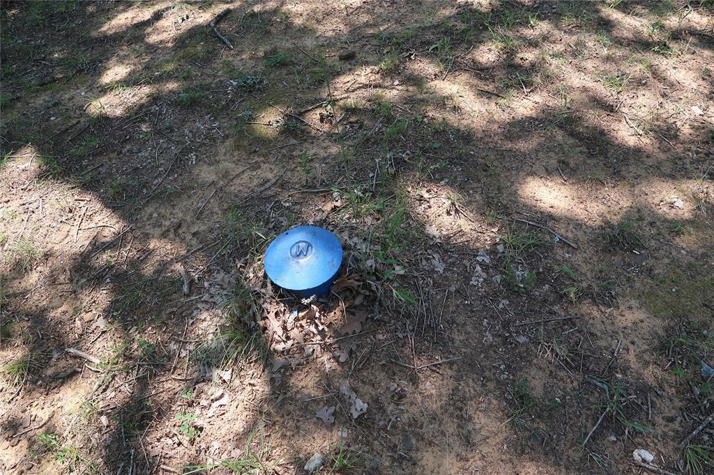 MCCARLEY ROBERT - Land