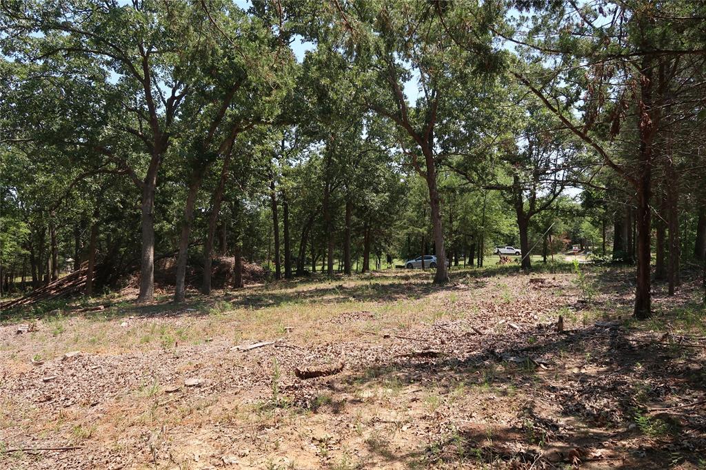 MCCARLEY ROBERT - Land