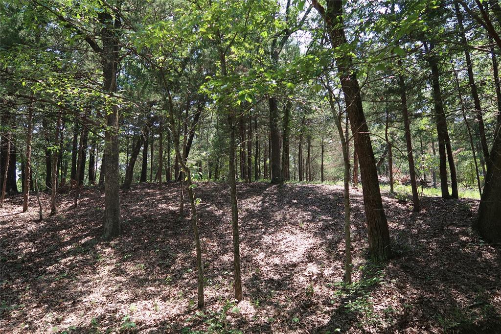 MCCARLEY ROBERT - Land