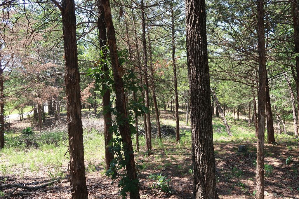 MCCARLEY ROBERT - Land