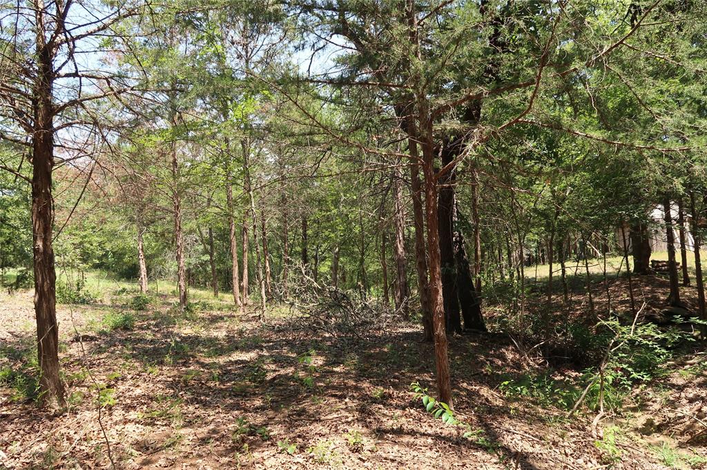 MCCARLEY ROBERT - Land