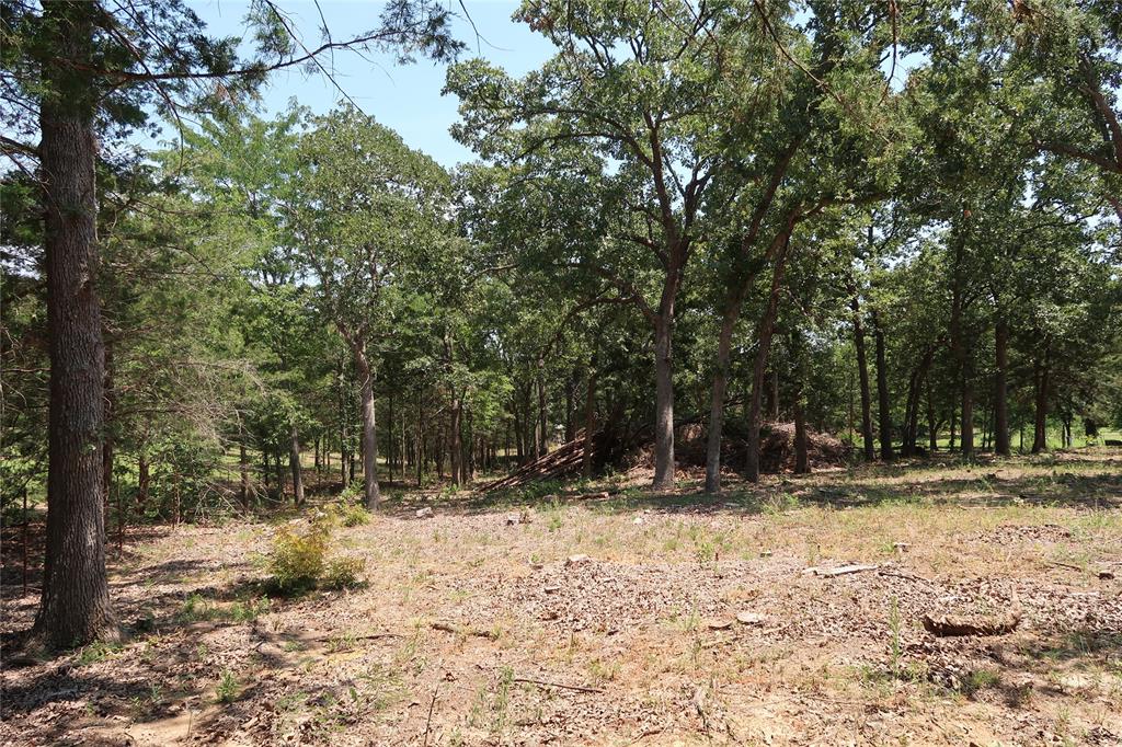 MCCARLEY ROBERT - Land