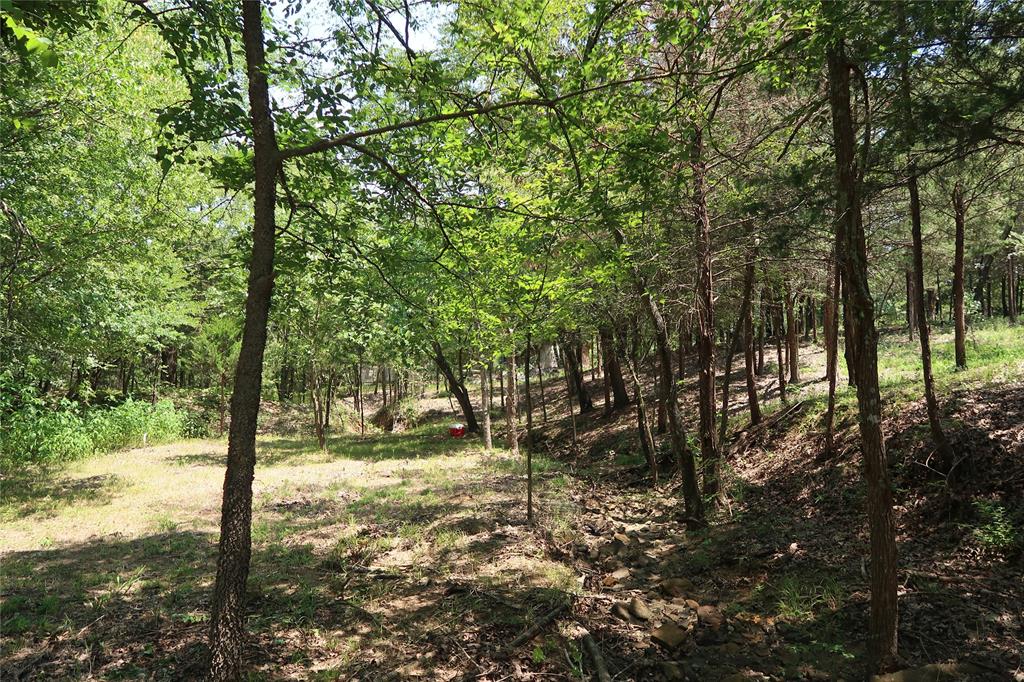 MCCARLEY ROBERT - Land