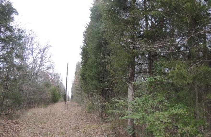 Opportunity to own multiple properties in nearing counties - rural areas.  To Take Your Breathe Away, is what will happen when you see this property.  You will be introduced to 25 Acres of Timbered acreage Land with the perfect spot to build your - at last - Dream Home.  Gorgeous, heavily treed, located north and east off highway 69.  Vacant land with trees ready to be platted into single lots or a single property - Residential. Park and take a walk through to see how you want to subdivide the acreage.  Beautiful Drive up Appeal from the main road.
Buyer and Buyer's agent to verify and confirm.  All information deemed as reliable.