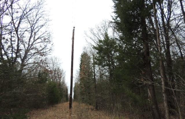 A-55 CALEB DECKER SURVEY - Land