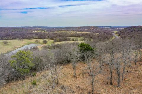 55 Acres FM 61 Graham TX 76450