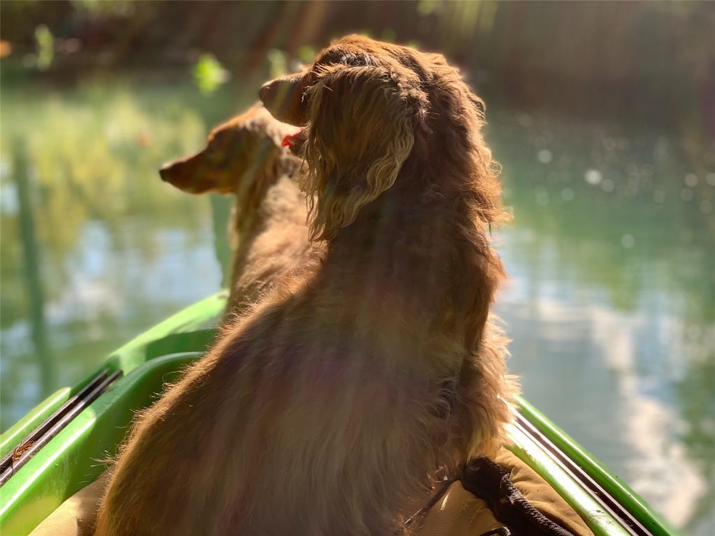 End Of The Race Sub - Residential