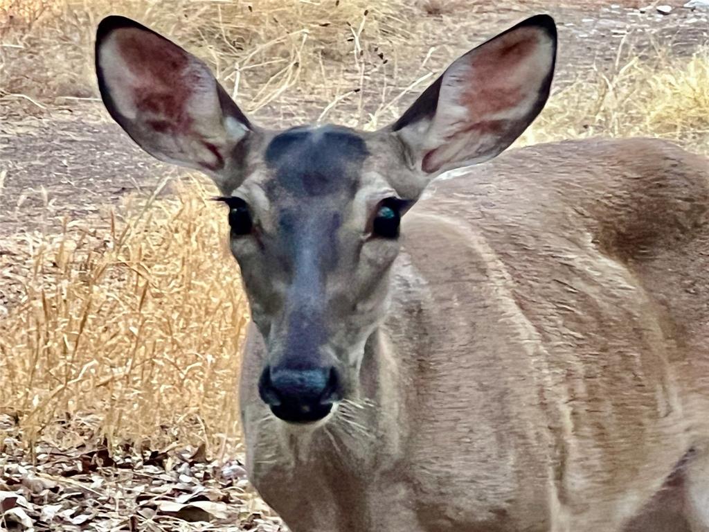 End Of The Race Sub - Residential