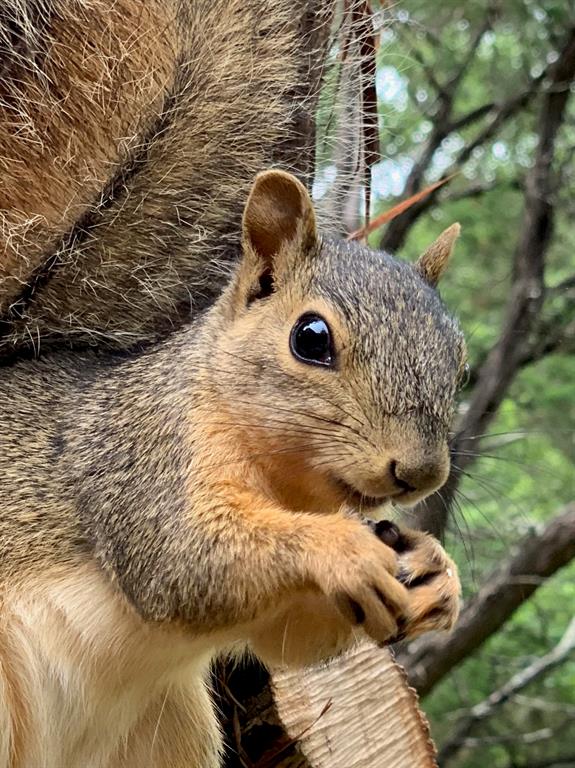 End Of The Race Sub - Residential