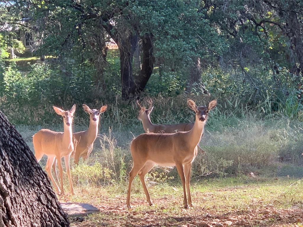 End Of The Race Sub - Residential