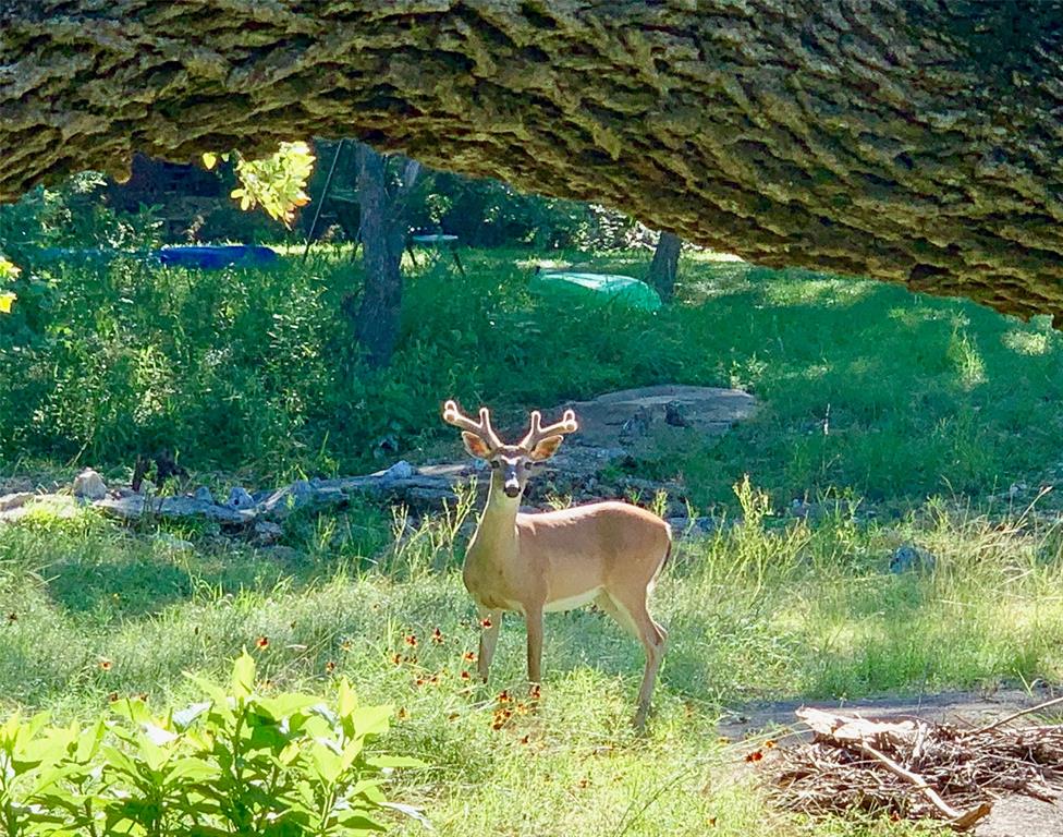 End Of The Race Sub - Residential