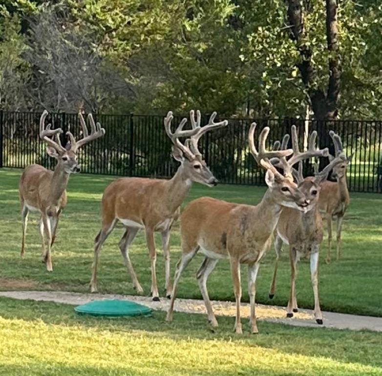 Timberlake Trails - Residential