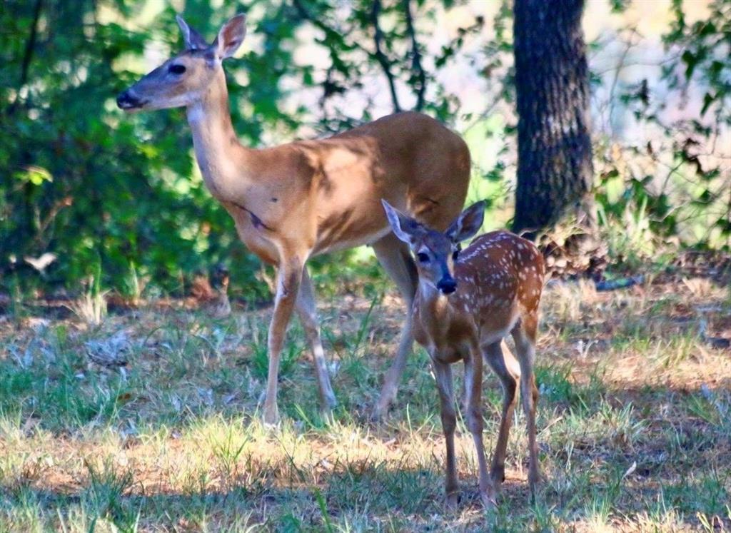 Jamberly Hills Ph3 - Residential