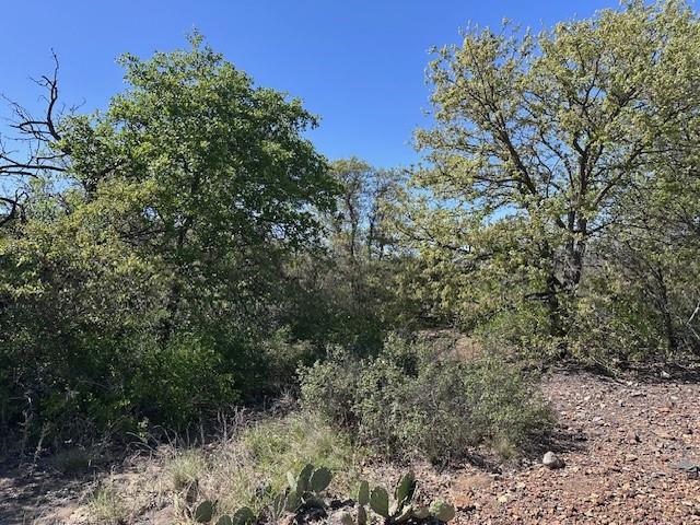 Hidden Shores - Land