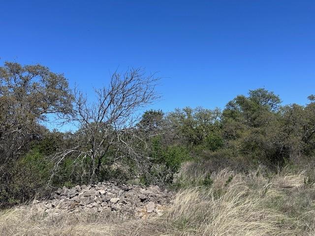 Hidden Shores - Land