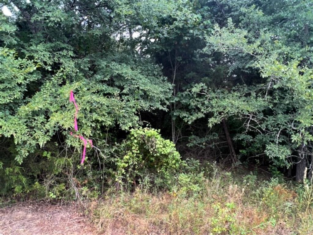 F P Cabler A-113 - Land