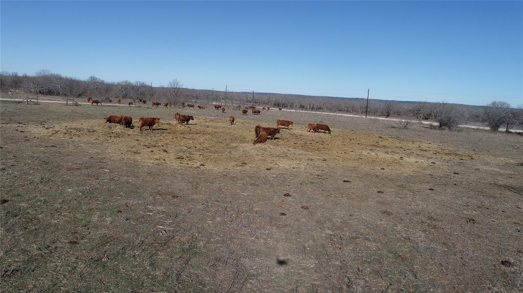 Paradise Oaks Ranch - Land