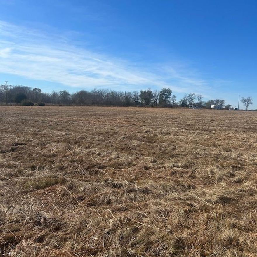 Very nice parcel of land just recently mowed.  Open pasture with some scattered trees on level land.  The back pasture has a nice pond and lots of trees.  Is partially fenced. Plenty of grass for grazing livestock. Lots of road frontage,  Close to downtown Ben Wheeler. Perfect tract of land for hay production.