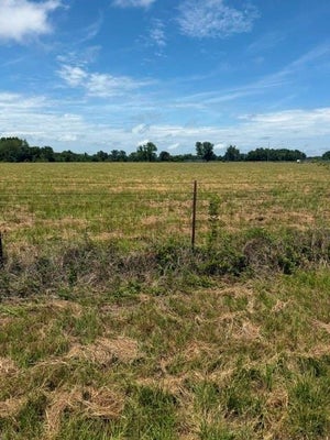 110 VZ COUNTY RD 4406, BEN WHEELER, TX 75754 - Image 572015d99cf1bbfa0d18cb3f46658a61/3087254546