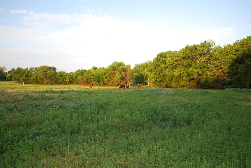 Le Ruisseau - Land
