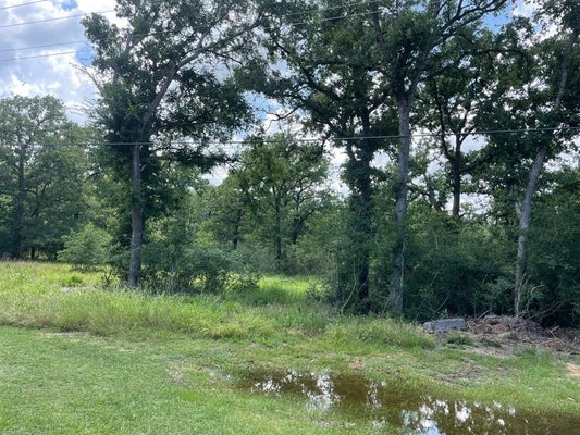 3495 LCR 750, THORNTON, TX 76687 - Image 5737e19b37ee87660f5ca41cffe8b86d/3185547591