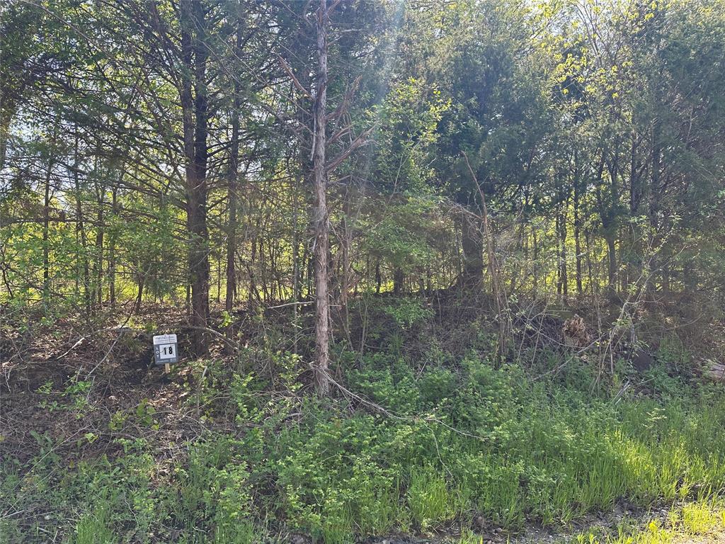 Tract 18 County Road 2960