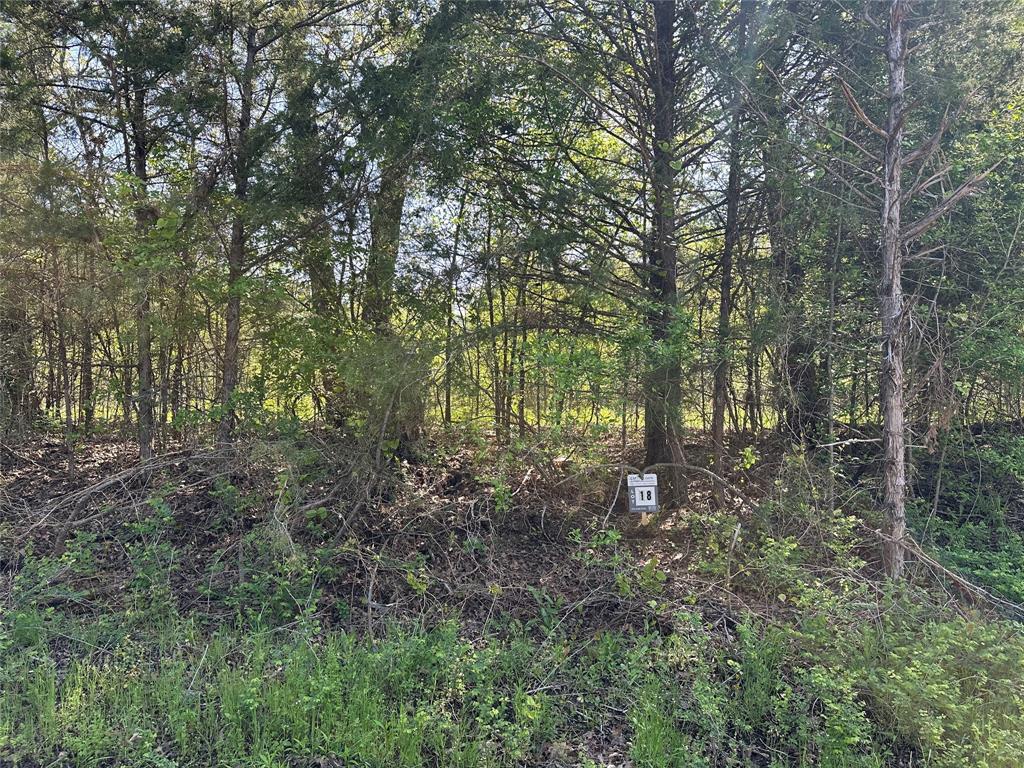 Tract 18 County Road 2960