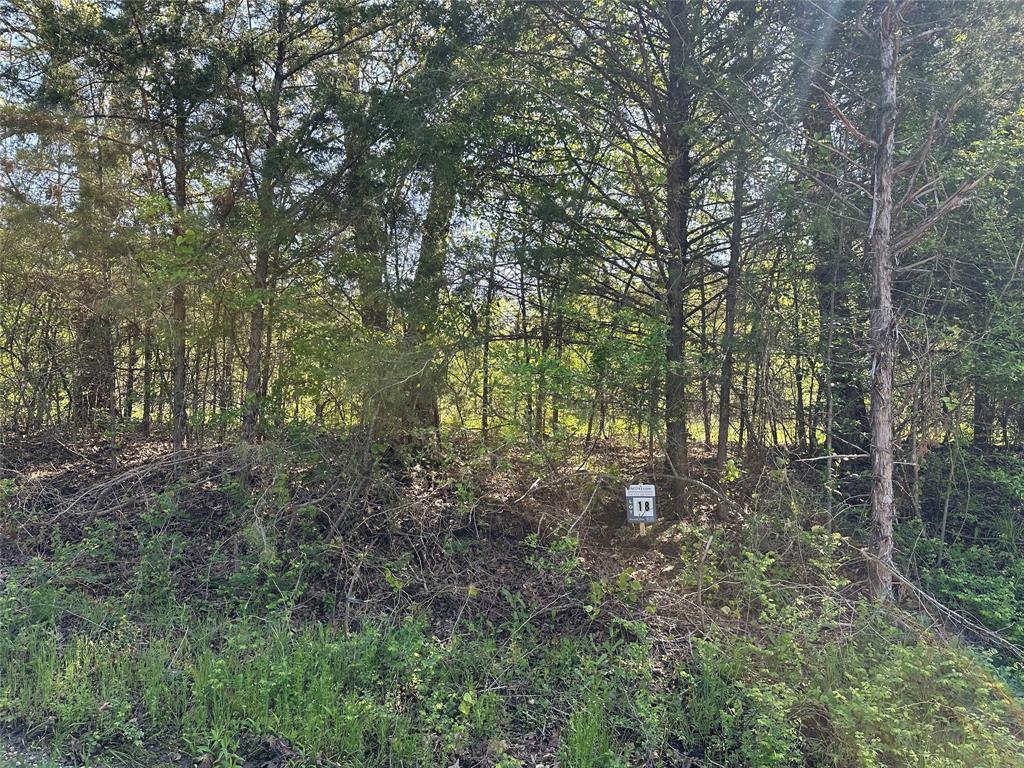 Tract 18 County Road 2960