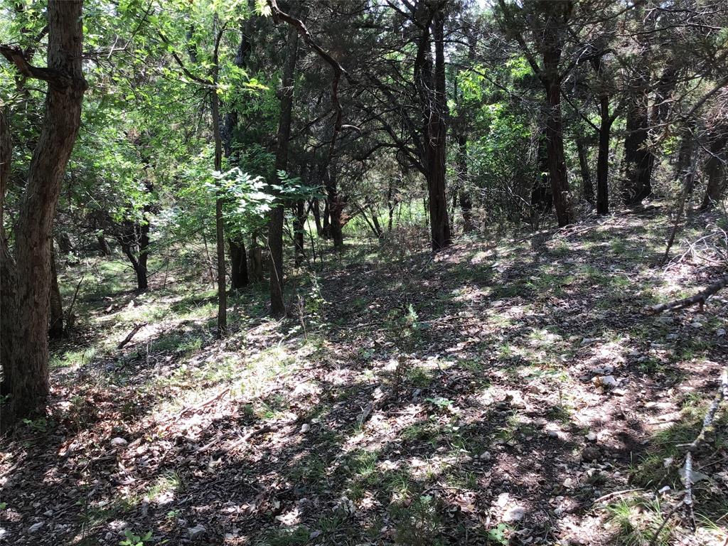 White Bluff #10 - Land