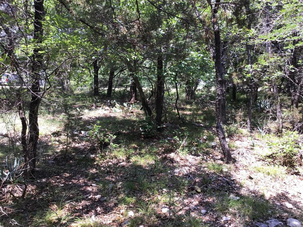 White Bluff #10 - Land