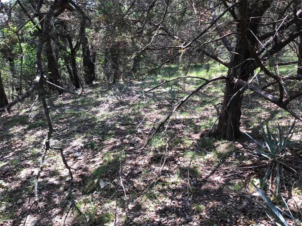 White Bluff #10 - Land