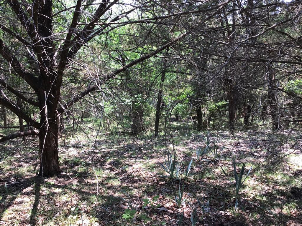 White Bluff #10 - Land