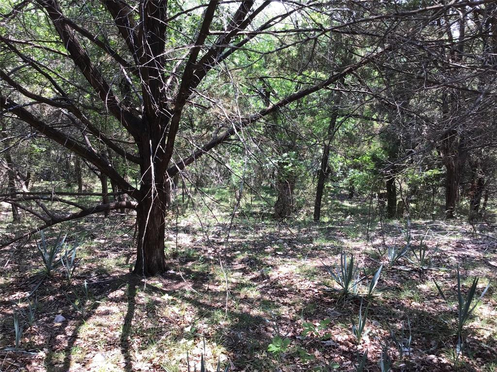 White Bluff #10 - Land