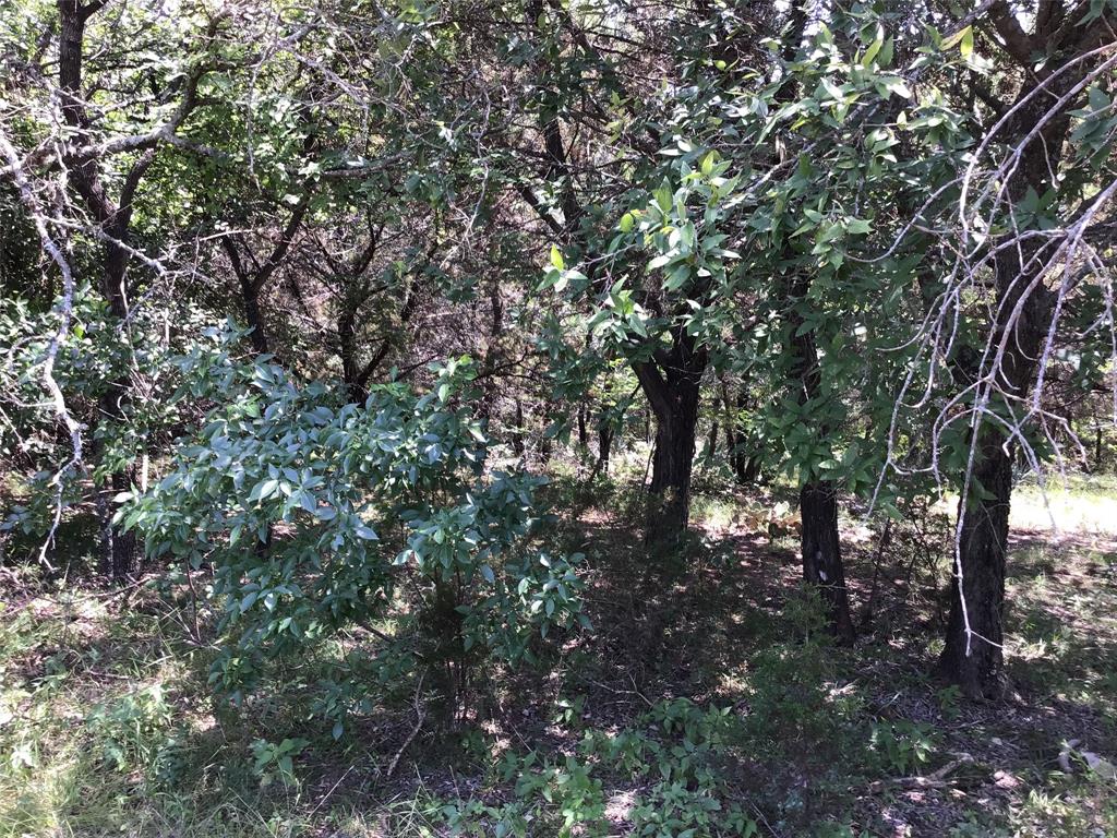 White Bluff #10 - Land