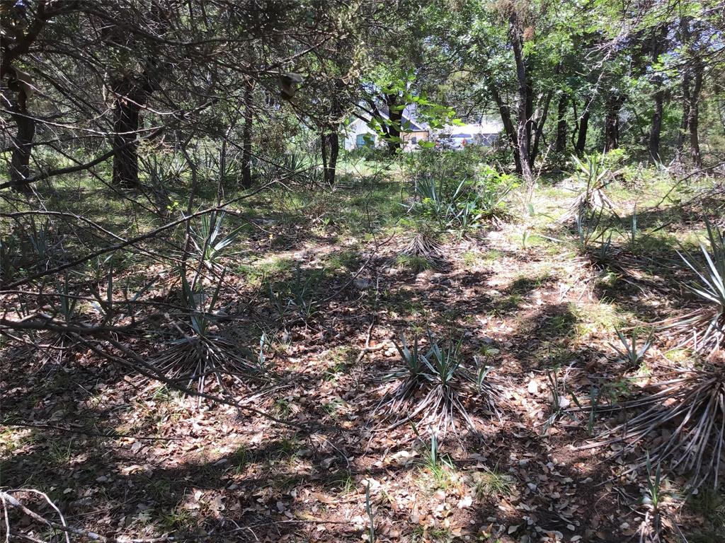 White Bluff #10 - Land